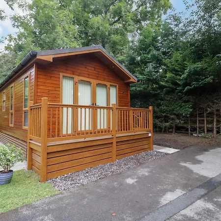Fir Tree בית נופש
